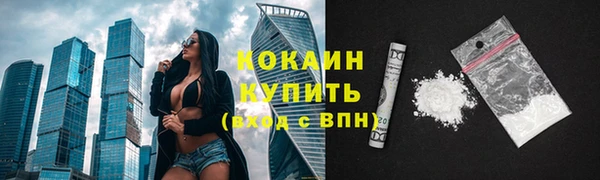 ECSTASY Богородицк