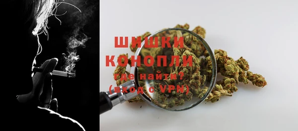 ECSTASY Богородицк