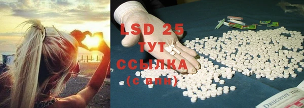 ECSTASY Богородицк