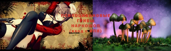 альфа пвп Белокуриха