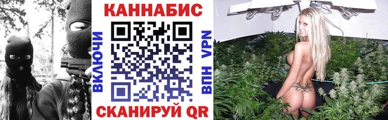 Каннабис сатива  Беслан 